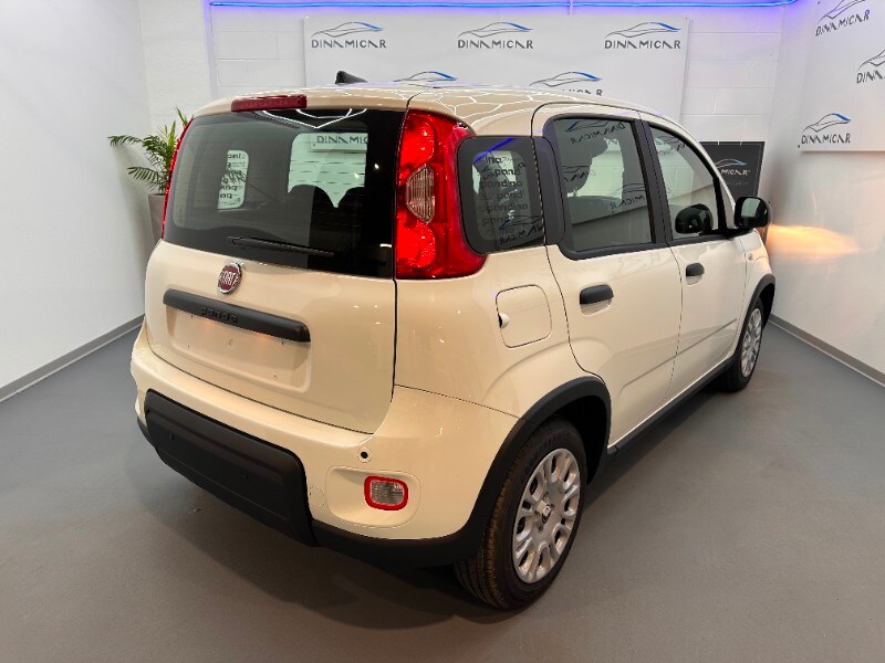 FIAT Pandina